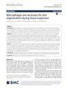 Macrophages are necessary for skin regeneration during tissue expansion