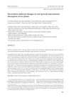 Mycorrhiza-Induced Changes in Root Growth and Nutrient Absorption of Tea Plants