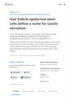 Decision letter: Hair follicle epidermal stem cells define a niche for tactile sensation