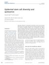 Epidermal stem cell diversity and quiescence