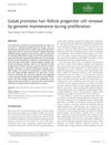 Gata6 promotes hair follicle progenitor cell renewal by genome maintenance during proliferation