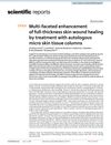 Multi-faceted enhancement of full-thickness skin wound healing by treatment with autologous micro skin tissue columns