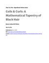Coils &amp; Curls: A Mathematical Tapestry of Black Hair