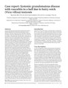 Case Report: Systemic Granulomatous Disease with Vasculitis in a Bull Due to Hairy Vetch (Vicia Villosa) Toxicosis