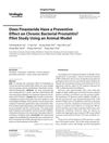 Does Finasteride Have a Preventive Effect on Chronic Bacterial Prostatitis? Pilot Study Using an Animal Model