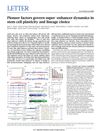 Pioneer factors govern super-enhancer dynamics in stem cell plasticity and lineage choice