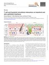 T cell and bacterial microbiota interaction at intestinal and skin epithelial interfaces