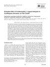 Promotion effect of acankoreoside J, a lupane-triterpene in Acanthopanax koreanum, on hair growth