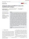 Androgenetic Alopecia and COVID-19: A Review of the Hypothetical Role of Androgens
