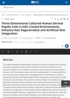 Three-Dimensional Cultured Human Dermal Papilla Cells in HGC-Coated Environments Enhance Hair Regeneration and Artificial Skin Integration