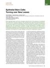Epithelial Stem Cells: Turning over New Leaves