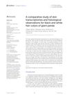 A comparative study of skin transcriptomes and histological observations for black and white hair colors of giant panda