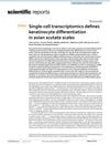 Single-cell transcriptomics defines keratinocyte differentiation in avian scutate scales