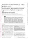 Lineage potential, plasticity and environmental reprogramming of epithelial stem/progenitor cells