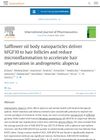 Safflower Oil Body Nanoparticles Deliver hFGF10 to Hair Follicles and Reduce Microinflammation to Accelerate Hair Regeneration in Androgenetic Alopecia