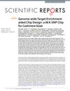 Genome-Wide Target Enrichment-Aided Chip Design: A 66K SNP Chip for Cashmere Goat