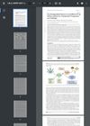 How Biodegradable Polymers Can Be Effective Drug Delivery Systems for Cannabinoids: Perspectives and Challenges