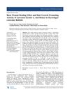 Burn Wound Healing Effect and Hair Growth Promoting Activity of &lt;i&gt;Lawsonia inermis&lt;/i&gt; L. and Honey in &lt;i&gt;Oryctolagus cuniculus&lt;/i&gt; Rabbits