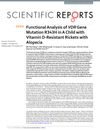 Functional Analysis of VDR Gene Mutation R343H in A Child with Vitamin D-Resistant Rickets with Alopecia