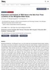 Expression and Analysis of TBX3 Gene in the Skin from Three Locations on Dun Mongolian Bider Horse