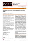 Adipose-Derived Stromal Cells in Regenerative Medicine: A Review