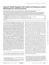 Heparan Sulfate Regulates Hair Follicle and Sebaceous Gland Morphogenesis and Homeostasis