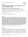 Proline-rich protein-like PRPL1 controls elongation of root hairs in Arabidopsis thaliana