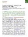 Proteasome Inhibitors: An Expanding Army Attacking a Unique Target