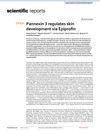Pannexin 3 regulates skin development via Epiprofin