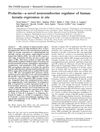 Prolactin: A Novel Neuroendocrine Regulator of Human Keratin Expression In Situ