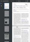 A Comprehensive Atlas of Endogenous Peptides in Maize