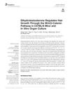 Dihydrotestosterone Regulates Hair Growth Through the Wnt/β-Catenin Pathway in C57BL/6 Mice and In Vitro Organ Culture
