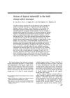 Action of topical minoxidil in the bald stump-tailed macaque