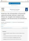 Protective role of hesperidin in finasteride-induced testicular toxicity in adult male Wistar rats: Insights into oxidative stress, apoptosis, and ultrastructure of seminiferous tubules