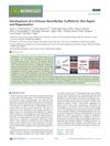 Development of a Chitosan Nanofibrillar Scaffold for Skin Repair and Regeneration