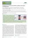 Development of a Chitosan Nanofibrillar Scaffold for Skin Repair and Regeneration