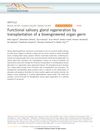 Functional salivary gland regeneration by transplantation of a bioengineered organ germ