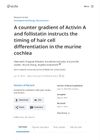 A counter gradient of Activin A and follistatin instructs the timing of hair cell differentiation in the murine cochlea