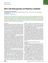Stem Cell Heterogeneity and Plasticity in Epithelia
