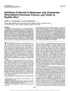 Inhibition of Steroid 5 Alpha-Reductase with Finasteride: Sleep-Related Erections, Potency, and Libido in Healthy Men