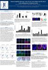 Innate Lymphoid Cells Type 1 May Be New, Non-Antigen-Specific Player in the Pathogenesis of Alopecia Areata