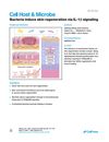 Bacteria induce skin regeneration via IL-1β signaling