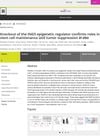 Knockout of the ING5 Epigenetic Regulator Confirms Roles in Stem Cell Maintenance and Tumor Suppression In Vivo