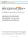 Maternal nutrition at conception modulates DNA methylation of human metastable epialleles