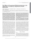 The Effects of Transdermal Dihydrotestosterone in the Aging Male: A Prospective, Randomized, Double Blind Study