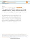 Fully functional hair follicle regeneration through the rearrangement of stem cells and their niches