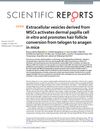 Extracellular Vesicles Derived from MSCs Activate Dermal Papilla Cells In Vitro and Promote Hair Follicle Conversion from Telogen to Anagen in Mice