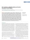 ILK modulates epithelial polarity and matrix formation in hair follicles