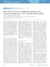 Basal Cell Carcinoma, Hedgehog Signaling, and Targeted Therapeutics: The Long and Winding Road