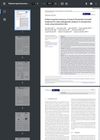 Patient‐reported outcomes of topical finasteride/minoxidil treatment for male androgenetic alopecia: A retrospective study using telemedical data